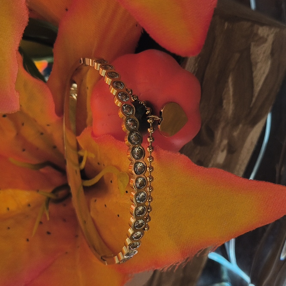 TTM Stainless Steel bracelet